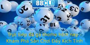 Truc Tiep A Ga Thomo Hom Nay Kham Pha San Choi Ay Kich Tinh